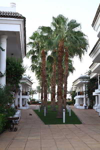 Dessole Seti Sharm Palm Beach Resort Kültér fotó