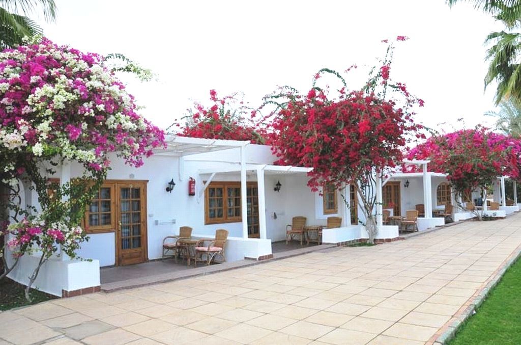 Dessole Seti Sharm Palm Beach Resort Kültér fotó